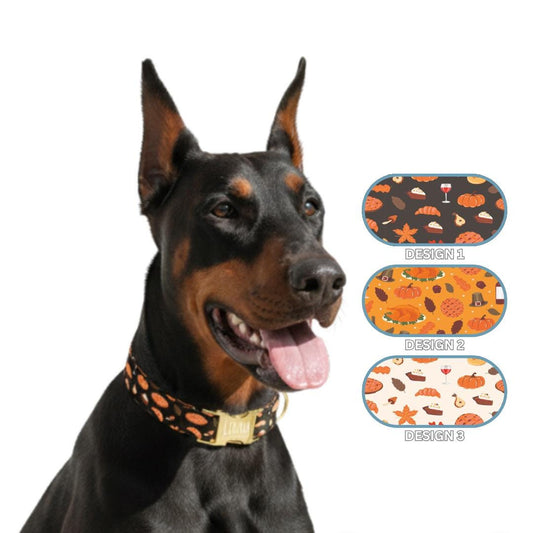 Personalized Festive Fall Dog Collar with Name Engraved Cute and Soft Adjustable Collar & Leash Set, Black or Gold Buckle Dog Gift (OG-131)