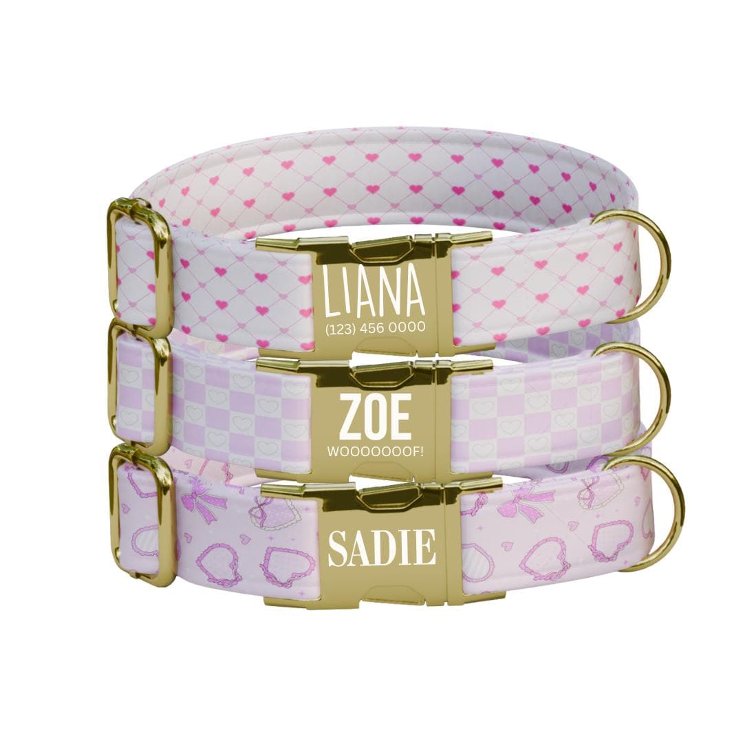 Personalized Valentine Heart Dog Collar with Name Engraved, Cute Soft Adjustable Collar & Leash, Set Black or Gold Buckle Dog Gift (OG-100)
