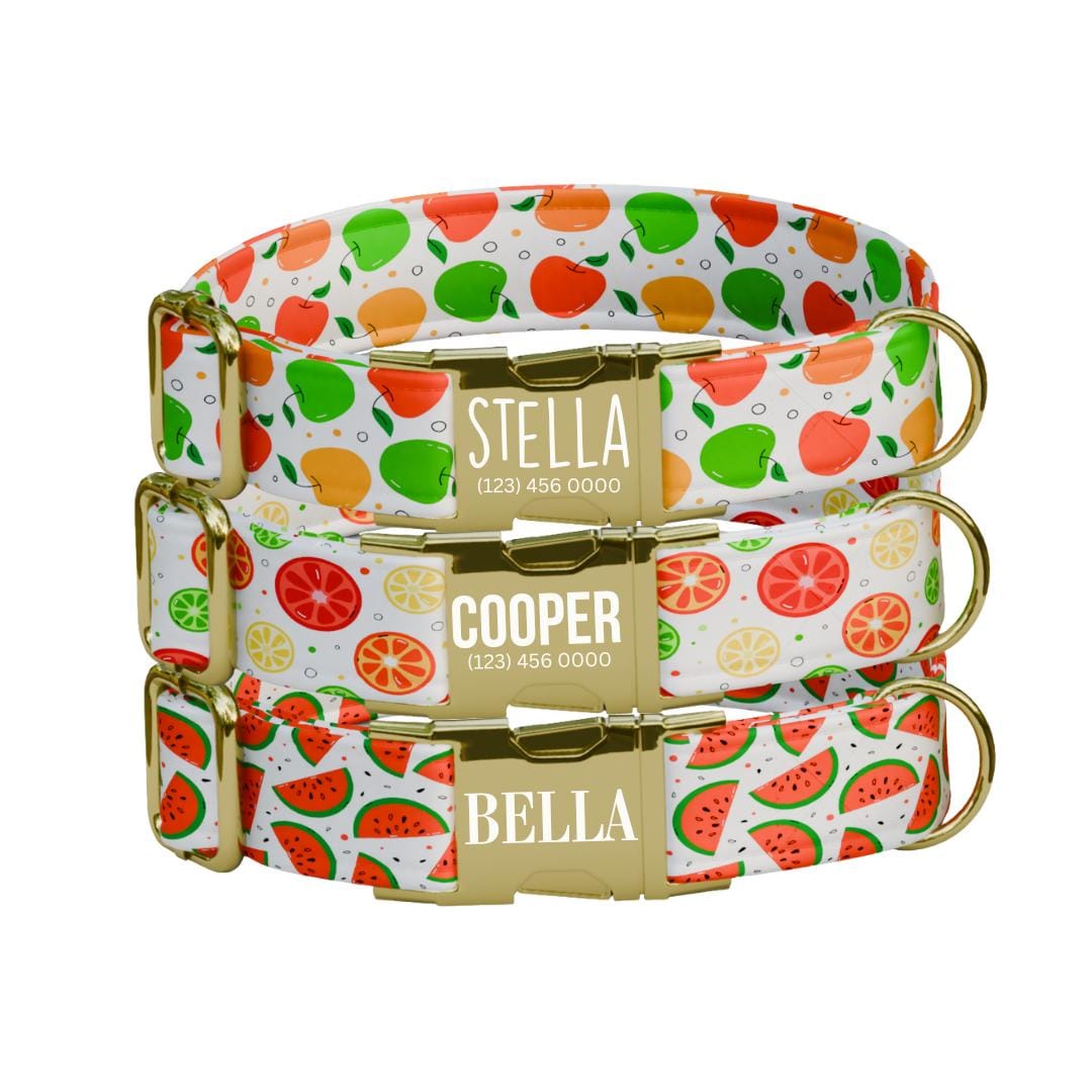 Personalized Fruit Dog Collar with Name Engraved Cute & Soft Adjustable Collar Leash Set Unique Cute Summer Fruit Print Dog Tag Gift (OG-79)