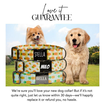 Personalized Pineapple Dog Collar with Name Engraved Cute & Soft Tropical Summer Adjustable Collar Leash Set Unique Fun Dog Tag Gift (OG-67)