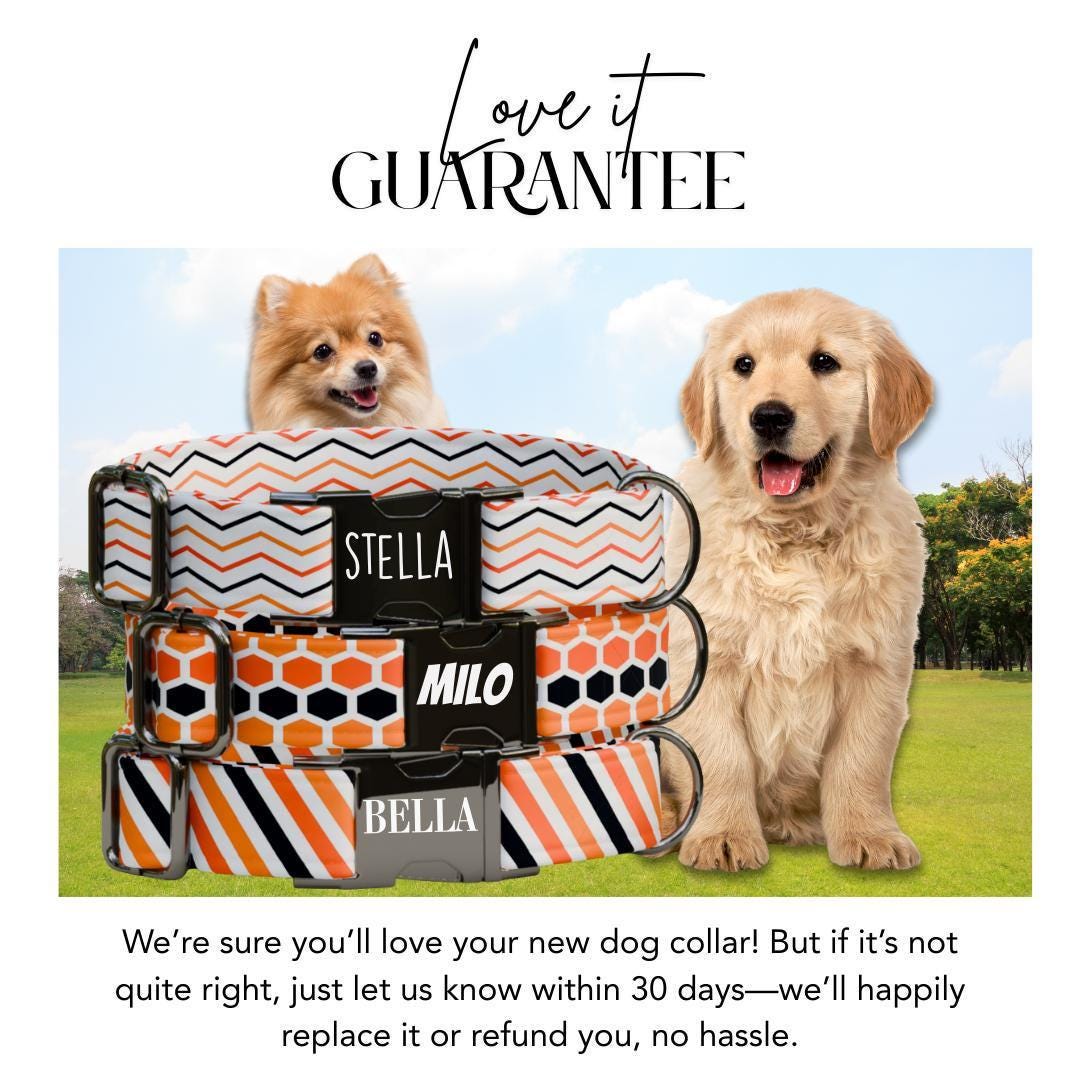 Personalized Chevron Stripes Honeycomb Dog Collar with Name Engraved Cute and Soft Adjustable Collar & Leash Set Pet Tag Dog Gift (OG-142)