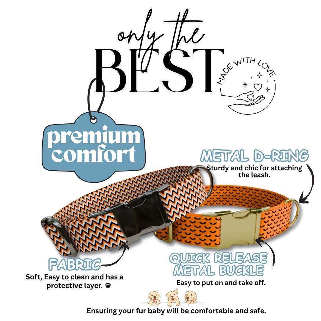 Personalized Spook-tacular Halloween Dog Collar with Name Engraved Cute and Soft Adjustable Collar & Leash Set, Pet ID Tag Dog Gift (OG-133)