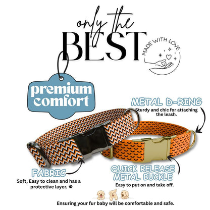 Personalized Spook-tacular Halloween Dog Collar with Name Engraved Cute and Soft Adjustable Collar & Leash Set, Pet ID Tag Dog Gift (OG-133)