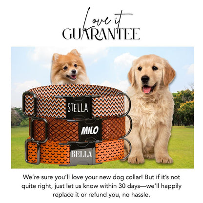 Personalized Spook-tacular Halloween Dog Collar with Name Engraved Cute and Soft Adjustable Collar & Leash Set, Pet ID Tag Dog Gift (OG-133)