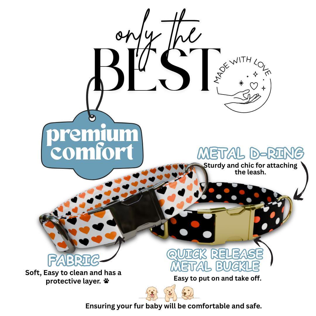 Personalized Halloween Dog Collar with Name Engraved Cute and Soft Fall Adjustable Collar & Leash Set Black or Gold Buckle Dog Gift (OG-120)