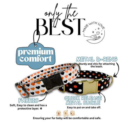 Personalized Halloween Dog Collar with Name Engraved Cute and Soft Fall Adjustable Collar & Leash Set Black or Gold Buckle Dog Gift (OG-120)