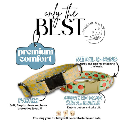 Personalized Citrus Fruit Dog Collar with Name Engraved Cute & Soft Adjustable Collar Leash Set Unique Fun Fruit Print Dog Tag Gift (OG-71)