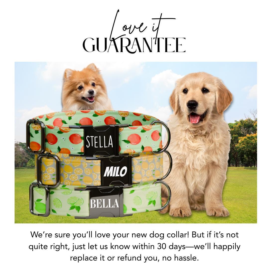 Personalized Citrus Fruit Dog Collar with Name Engraved Cute & Soft Adjustable Collar Leash Set Unique Fun Fruit Print Dog Tag Gift (OG-71)