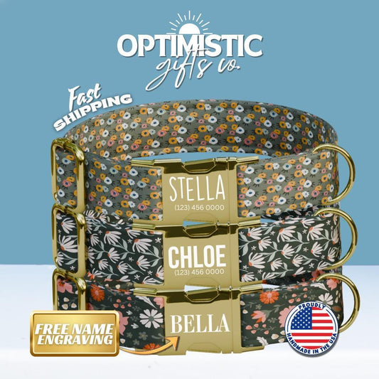 Personalized Green Floral Dog Collar with Name Engraved, Cute and Soft Adjustable Collar & Leash Set, Black or Gold Buckle Dog Gift (OG-17)