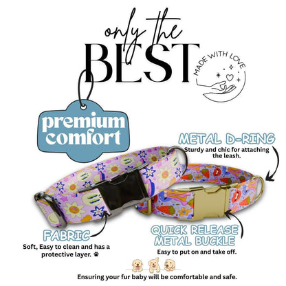 Personalized Retro Groovy Dog Collar with Name Engraved Cute & Soft Adjustable Collar Leash Set, Unique Funky Print Dog Tag Gift (OG-75)