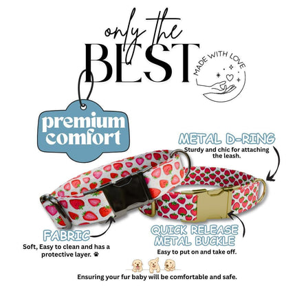 Personalized Strawberry Dog Collar with Name Engraved Cute & Soft Summer Fruit Adjustable Collar Leash Set, Unique Fun Dog Tag Gift (OG-68)