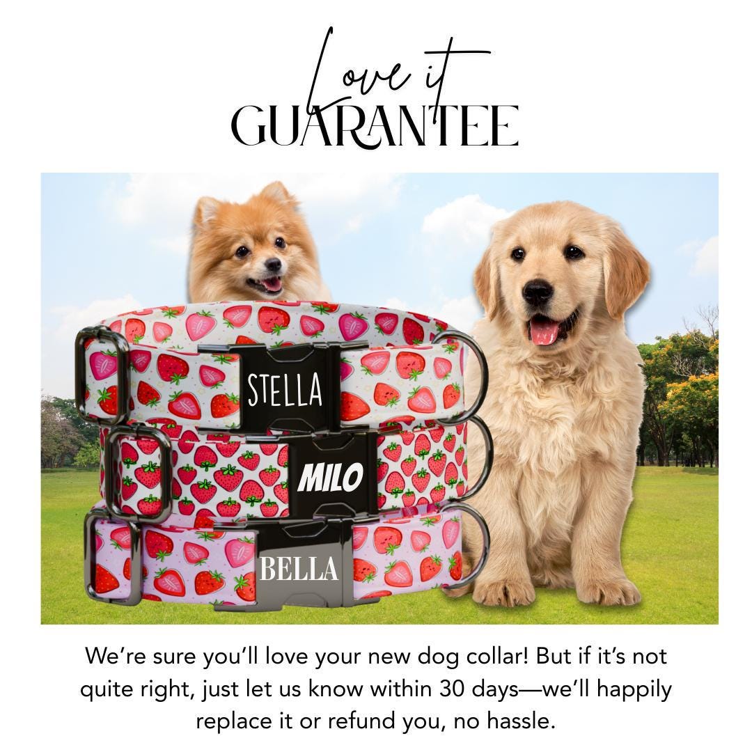 Personalized Strawberry Dog Collar with Name Engraved Cute & Soft Summer Fruit Adjustable Collar Leash Set, Unique Fun Dog Tag Gift (OG-68)