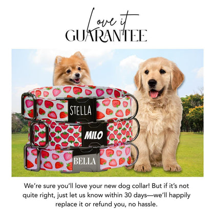Personalized Strawberry Dog Collar with Name Engraved Cute & Soft Summer Fruit Adjustable Collar Leash Set, Unique Fun Dog Tag Gift (OG-68)
