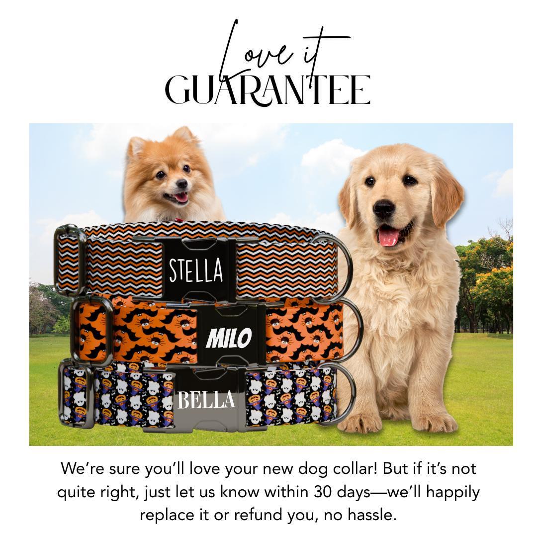 Personalized Halloween Dog Collar with Name Engraved, Cute and Soft Adjustable Fall Collar & Leash Set Black or Gold Buckle Dog Gift (OG-30)