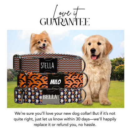 Personalized Halloween Dog Collar with Name Engraved, Cute and Soft Adjustable Fall Collar & Leash Set Black or Gold Buckle Dog Gift (OG-30)