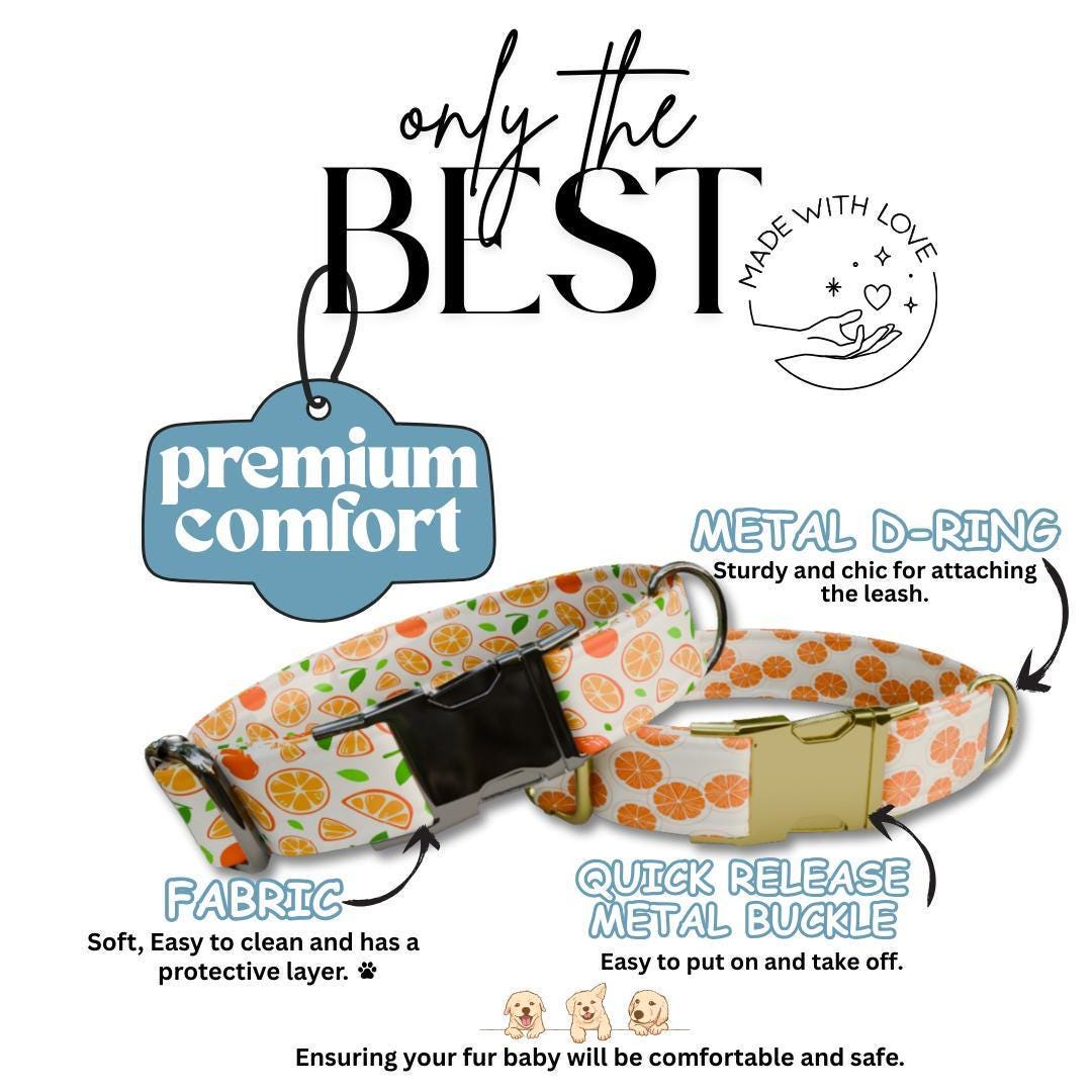 Personalized Orange Dog Collar with Name Engraved Cute & Soft Citrus Adjustable Collar Leash Set Unique Fun Fruit Print Dog Tag Gift (OG-69)