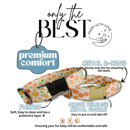 Personalized Orange Dog Collar with Name Engraved Cute & Soft Citrus Adjustable Collar Leash Set Unique Fun Fruit Print Dog Tag Gift (OG-69)