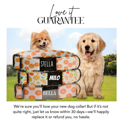 Personalized Orange Dog Collar with Name Engraved Cute & Soft Citrus Adjustable Collar Leash Set Unique Fun Fruit Print Dog Tag Gift (OG-69)