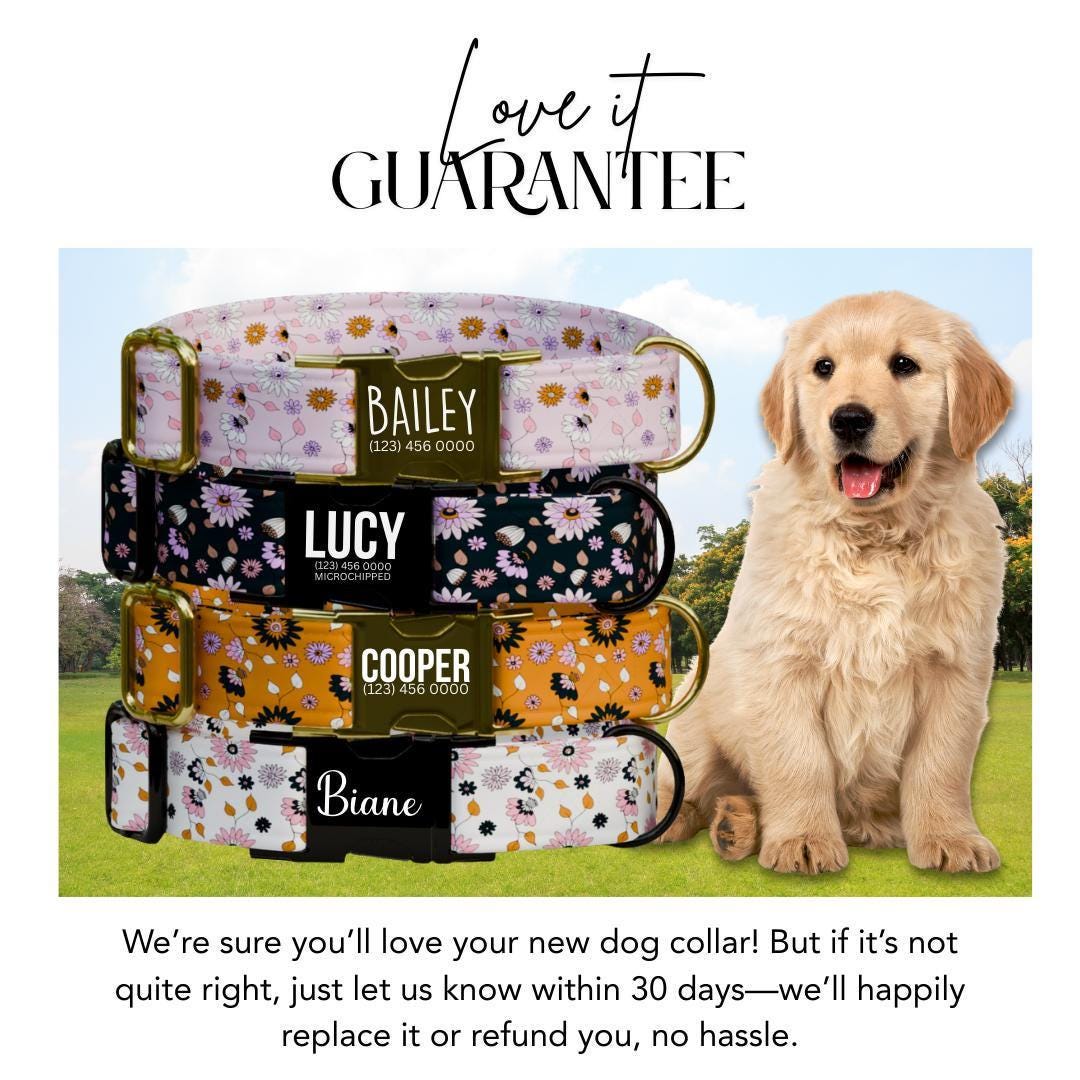 Personalized Floral Dog Collar with Name Engraved Cute and Soft Floral Adjustable Collar & Leash Set Black or Gold Buckle Dog Gift (OG-148)