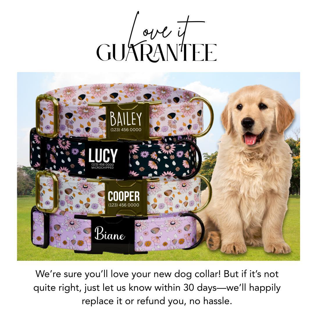Personalized Floral Dog Collar with Name Engraved Cute and Soft Floral Adjustable Collar & Leash Set Black or Gold Buckle Dog Gift (OG-149)