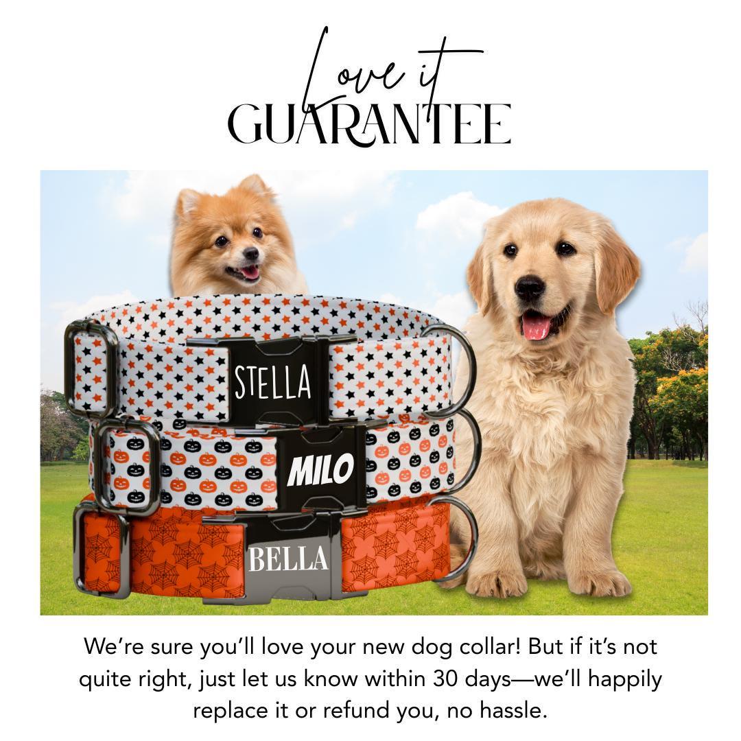 Personalized Spooky Season Dog Collar with Name Engraved Cute and Soft Adjustable Collar & Leash Set, Halloween Pet ID Tag Dog Gift (OG-132)