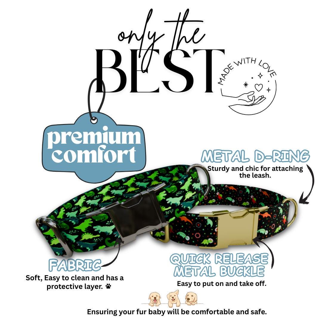 Personalized Dinosaur Dog Collar with Name Engraved Cute and Soft Dino Adjustable Collar & Leash Set Black or Gold Buckle Dog Gift (OG-96)