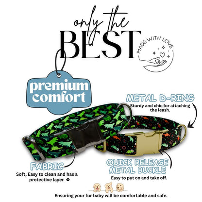 Personalized Dinosaur Dog Collar with Name Engraved Cute and Soft Dino Adjustable Collar & Leash Set Black or Gold Buckle Dog Gift (OG-96)