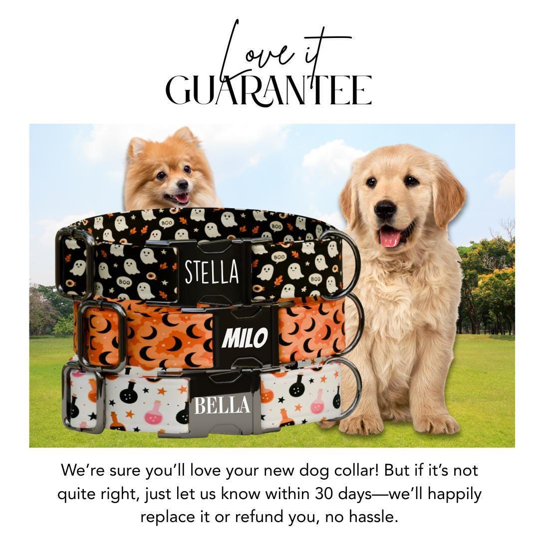 Personalized Halloween Dog Collar with Name Engraved Cute and Soft Fall Adjustable Collar & Leash Set Black or Gold Buckle Dog Gift (OG-127)