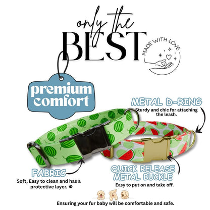 Personalized Watermelon Dog Collar with Name Engraved Cute & Soft Adjustable Collar Leash Set Unique Watermelon Print Dog Tag Gift (OG-84)
