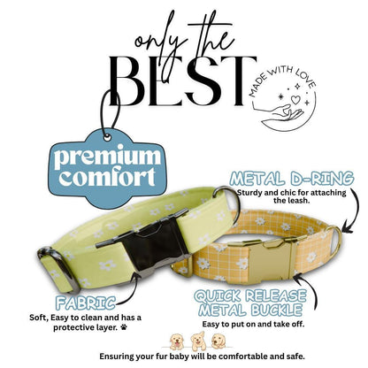 Personalized Daisy Floral Dog Collar with Name Engraved Cute & Soft Adjustable Collar Leash Set Unique Daisy Floral Pet Dog Tag Gift (OG-72)