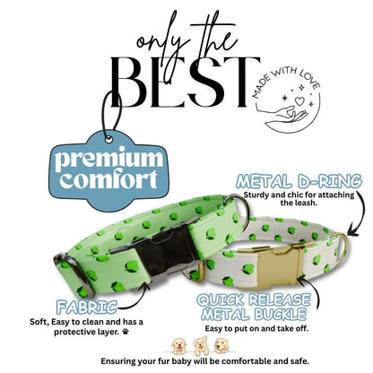 Personalized Lime Fruit Dog Collar with Name Engraved Cute & Soft Adjustable Collar Leash Set Unique Lime Fruit Print Dog Tag Gift (OG-86)