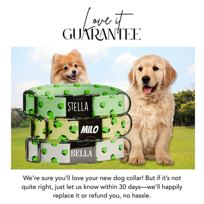 Personalized Lime Fruit Dog Collar with Name Engraved Cute & Soft Adjustable Collar Leash Set Unique Lime Fruit Print Dog Tag Gift (OG-86)
