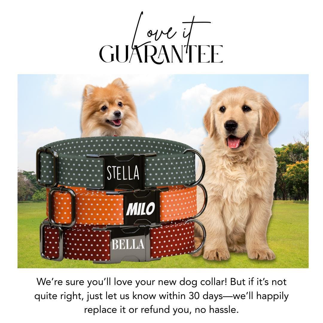 Personalized Polka Dot Dog Collar with Name Engraved Cute and Soft Polka Dot Designs Adjustable Collar & Leash Set Pet Tag Dog Gift (OG-143)