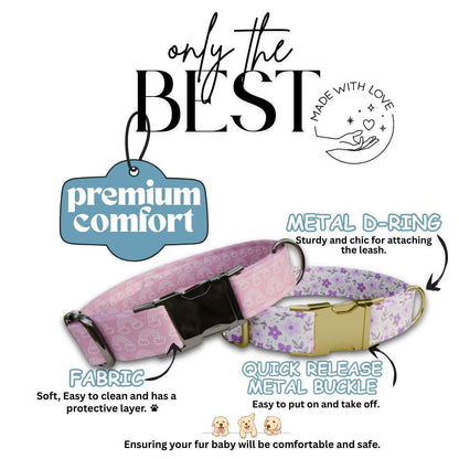 Personalized Floral and Rainbow Dog Collar with Name Engraved Cute & Soft Adjustable Collar Leash Set Unique Pastel Pet Dog Tag Gift (OG-80)