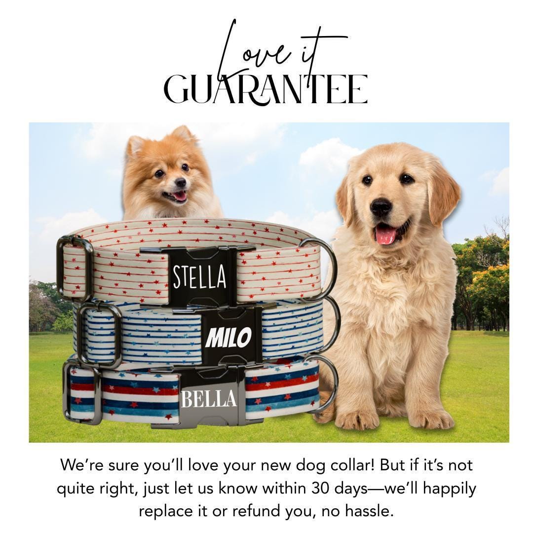 Personalized US Patriotic Dog Collar with Name Engraved Cute & Soft Adjustable Collar Leash Set Unique Star Striped Pet Dog Tag Gift (OG-82)