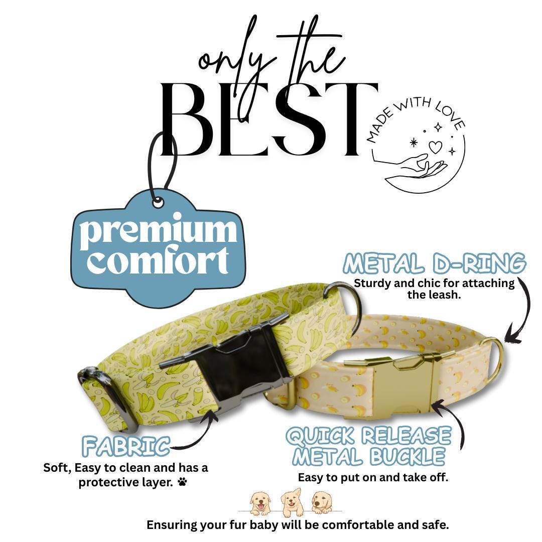 Personalized Banana Dog Collar with Name Engraved Cute & Soft Banana Adjustable Collar Leash Set Unique Fun Fruit Print Dog Tag Gift (OG-70)