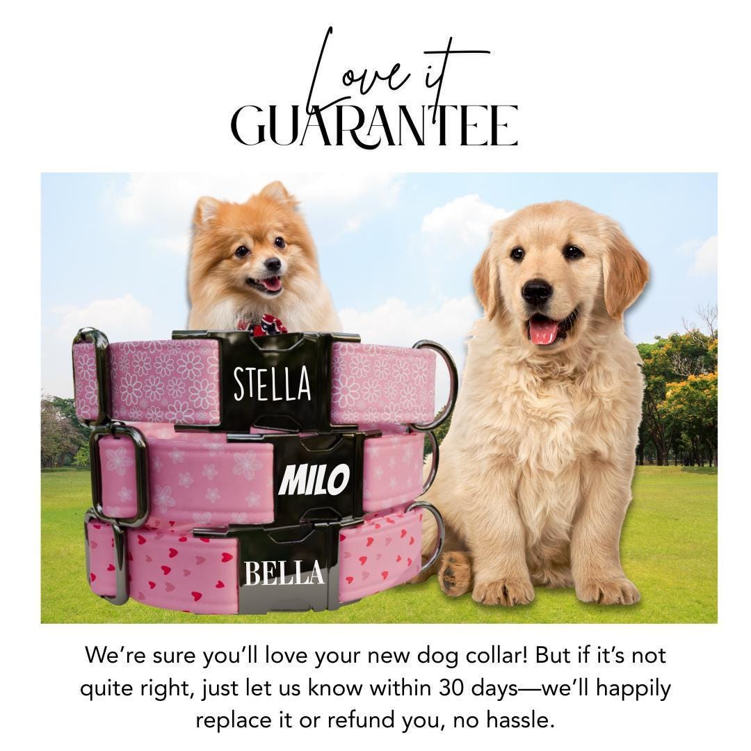 Personalized Pink Floral Dog Collar with Name Engraved, Cute and Soft Adjustable Collar & Leash Set, Black or Gold Buckle, Dog Gift (OG-01)