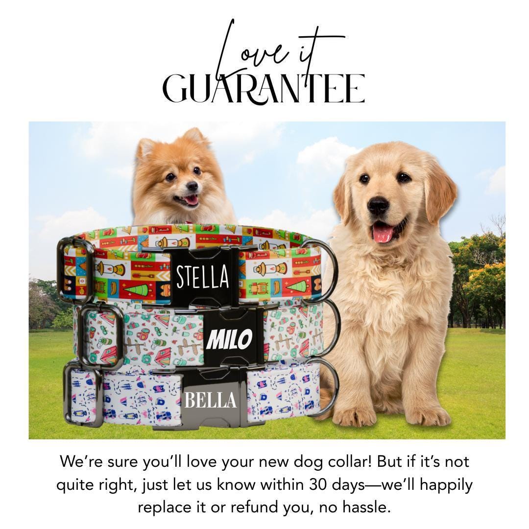 Personalized Adventure Dog Collar with Name Engraved Cute Soft Camping Style Adjustable Collar Leash Set Black & Gold Dog Tag Gift (OG-66)