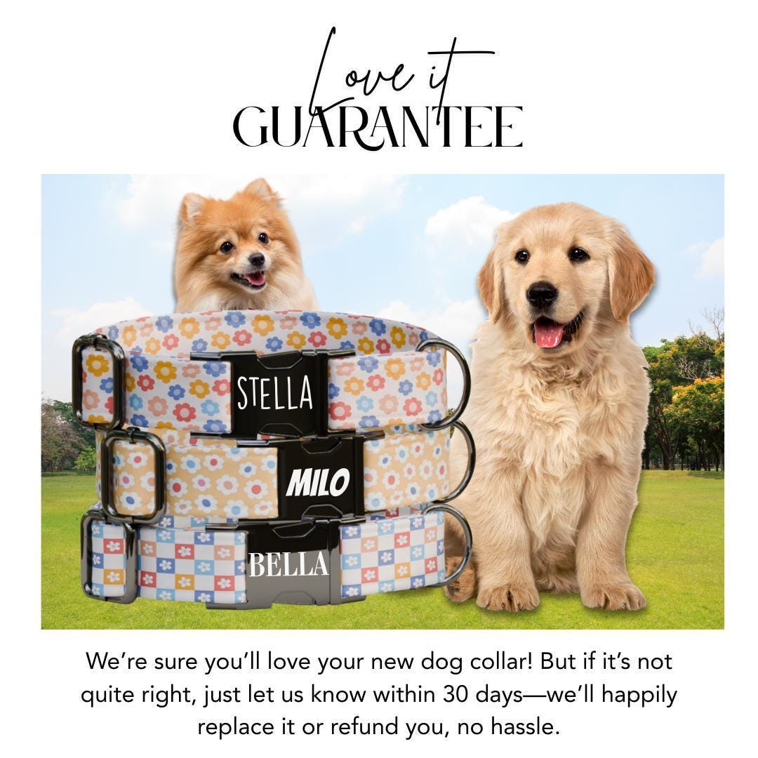 Personalized Pastel Floral Dog Collar with Name Engraved, Cute and Soft Adjustable Collar & Leash Set Black or Gold Buckle Dog Gift (OG-20)