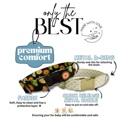 Personalized Citrus Fresh Dog Collar with Name Engraved Cute & Soft Tropical Vibes Adjustable Collar Leash Set Unique Dog Tag Gift (OG-65)