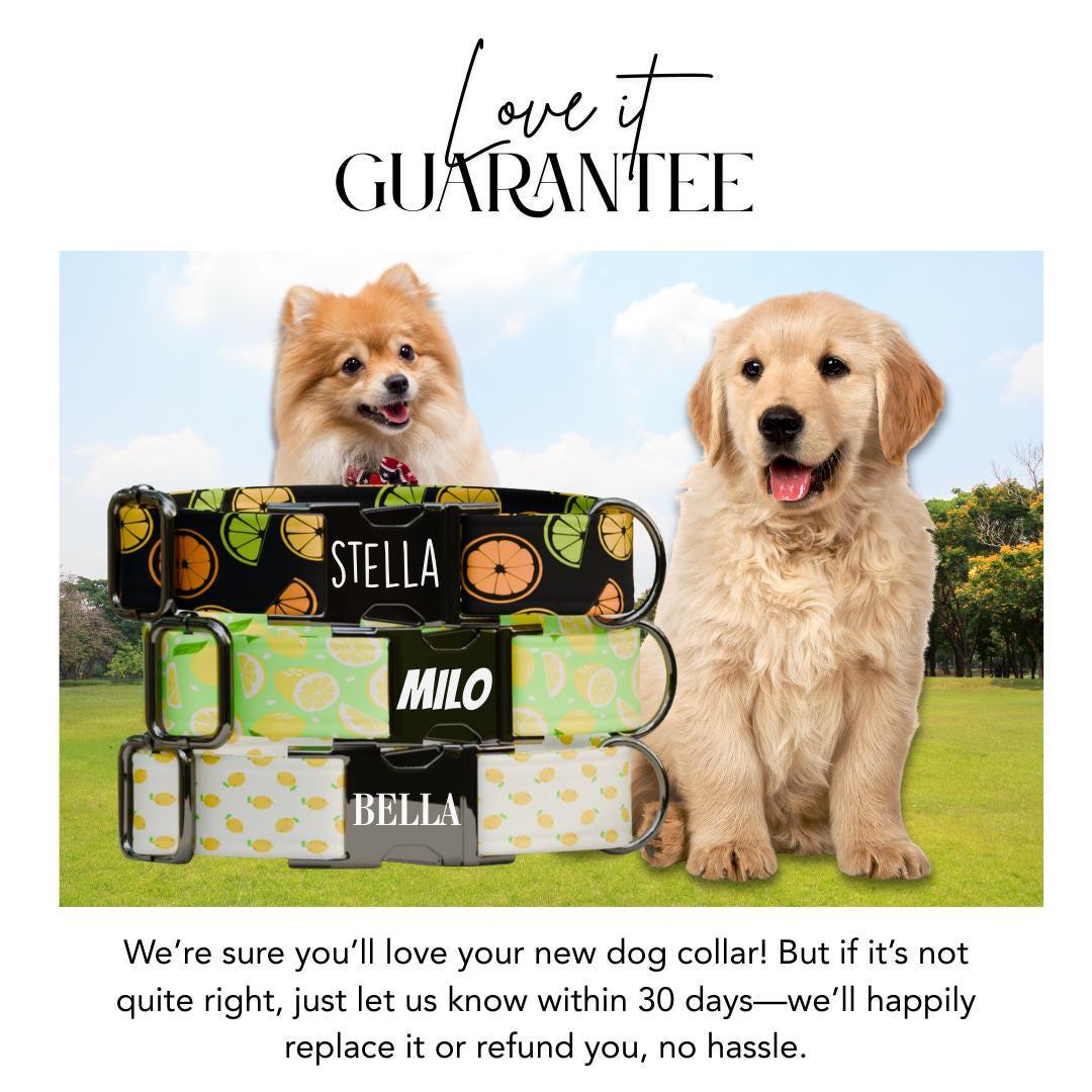 Personalized Citrus Fresh Dog Collar with Name Engraved Cute & Soft Tropical Vibes Adjustable Collar Leash Set Unique Dog Tag Gift (OG-65)