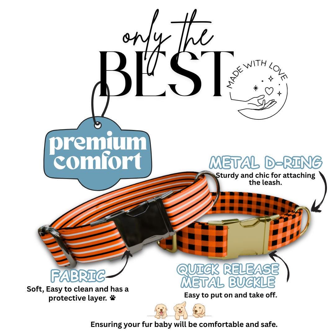 Personalized Halloween Dog Collar with Name Engraved Cute and Soft Fall Adjustable Collar & Leash Set Black or Gold Buckle Dog Gift (OG-121)