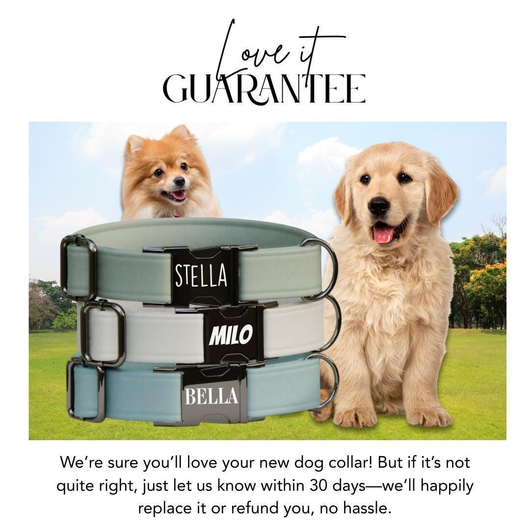 Personalized Multiple Luxe Velvet Dog Collar with Name Engraved, Cute and Soft Adjustable Collar & Leash Set, Wedding Dog Tag Gift (OG-49)