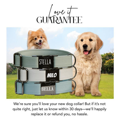 Personalized Multiple Luxe Velvet Dog Collar with Name Engraved, Cute and Soft Adjustable Collar & Leash Set, Wedding Dog Tag Gift (OG-49)