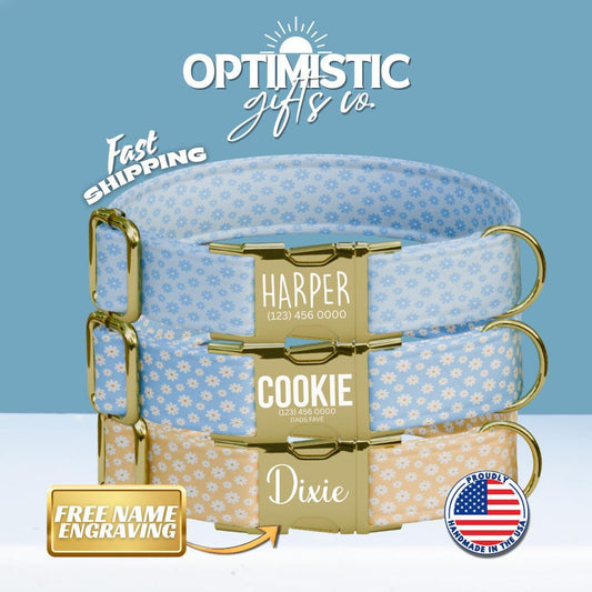 Personalized Daisy Flowers Dog Collar with Name Engraved Cute & Soft Adjustable Collar Leash Set Unique Daisy Flowers Dog Tag Gift (OG-78)