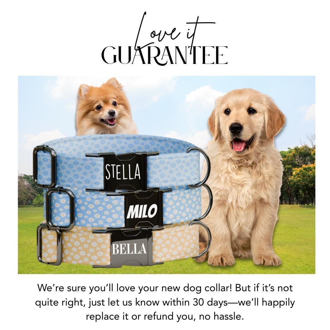 Personalized Daisy Flowers Dog Collar with Name Engraved Cute & Soft Adjustable Collar Leash Set Unique Daisy Flowers Dog Tag Gift (OG-78)