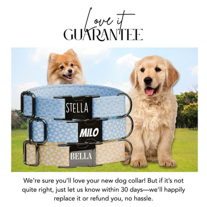 Personalized Daisy Flowers Dog Collar with Name Engraved Cute & Soft Adjustable Collar Leash Set Unique Daisy Flowers Dog Tag Gift (OG-78)