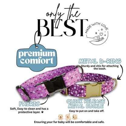 Personalized Halloween Dog Collar with Name Engraved, Cute and Soft Adjustable Pink Collar & Leash Set Black or Gold Buckle Dog Gift (OG-33)