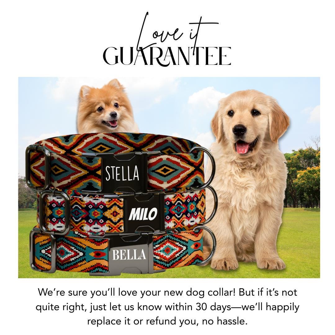 Personalized Southwestern Dog Collar with Name Engraved, Cute and Soft Adjustable Collar & Leash Set, Black or Gold Buckle Dog Gift (OG-43)