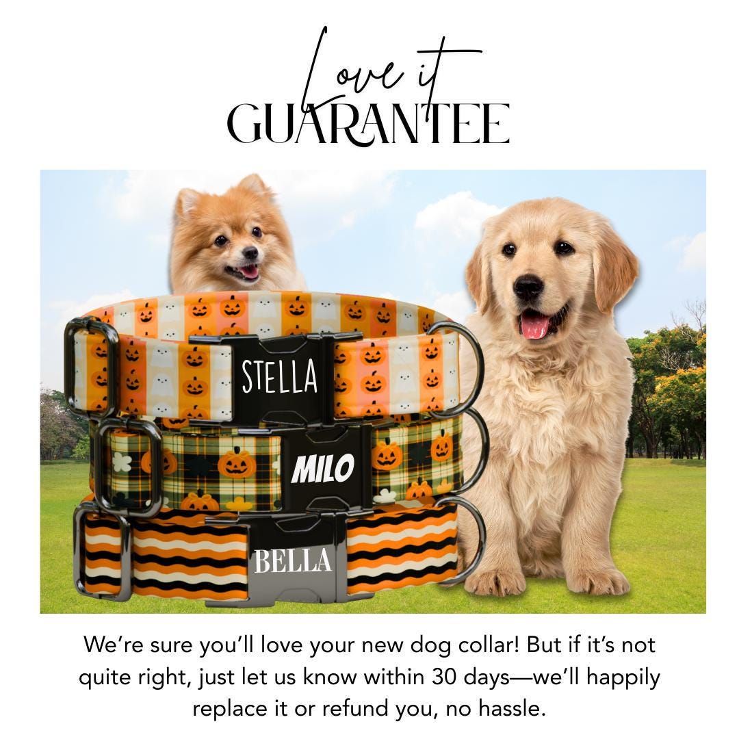 Personalized Halloween Dog Collar with Name Engraved Cute and Soft Fall Adjustable Collar & Leash Set Black or Gold Buckle Dog Gift (OG-126)